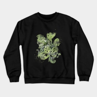 Prayer Plant- Abstract Art Crewneck Sweatshirt